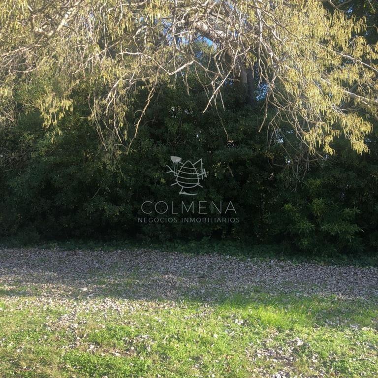 venta de terreno en San Rafael, Punta del Este