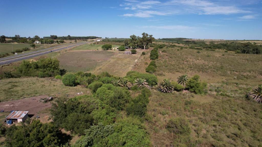 Campo en Rosario