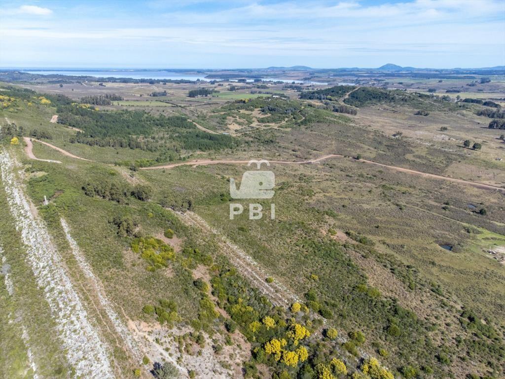 Chacra de 15,7 Has en Ruta 9, Abra de Perdomo - :