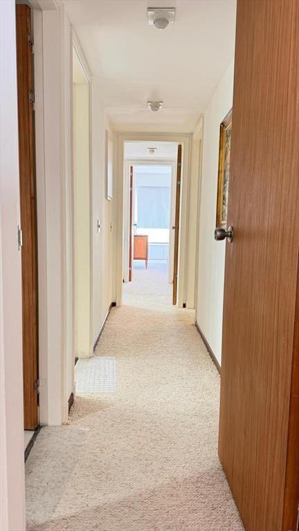 Apartamento en alquiler anual