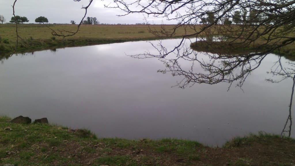 Campo en Salto