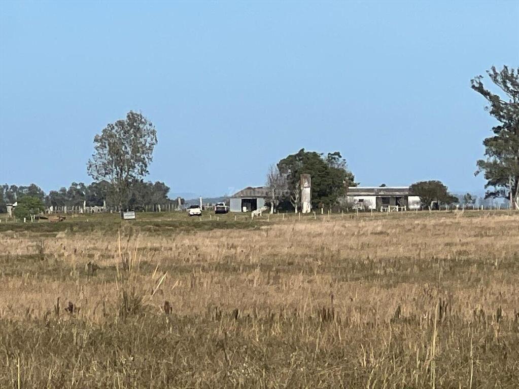Estancia Ganadera 450 ha en Cerro Largo