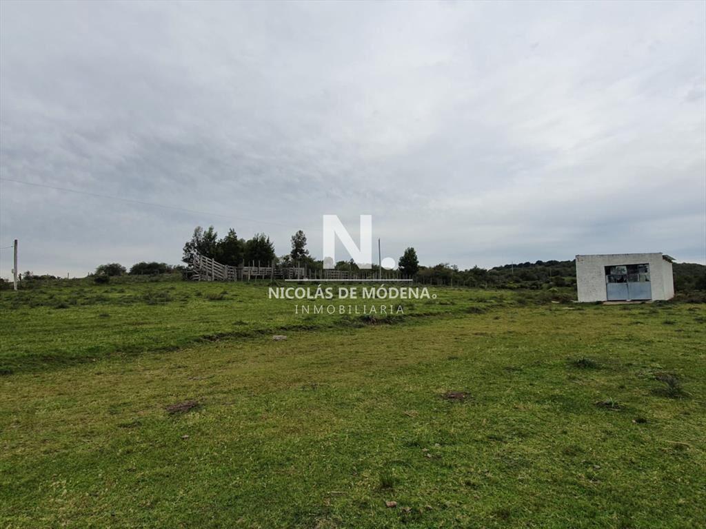 Campo de 54 has en venta en Sauce de Aigua.