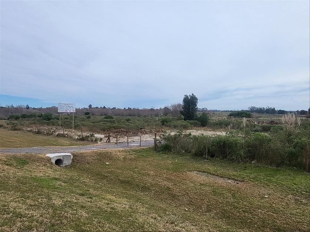 ALQUILER DE TERRENO EL PINAR, SOBRE ÍNTERBALNEARIA, KM 28
