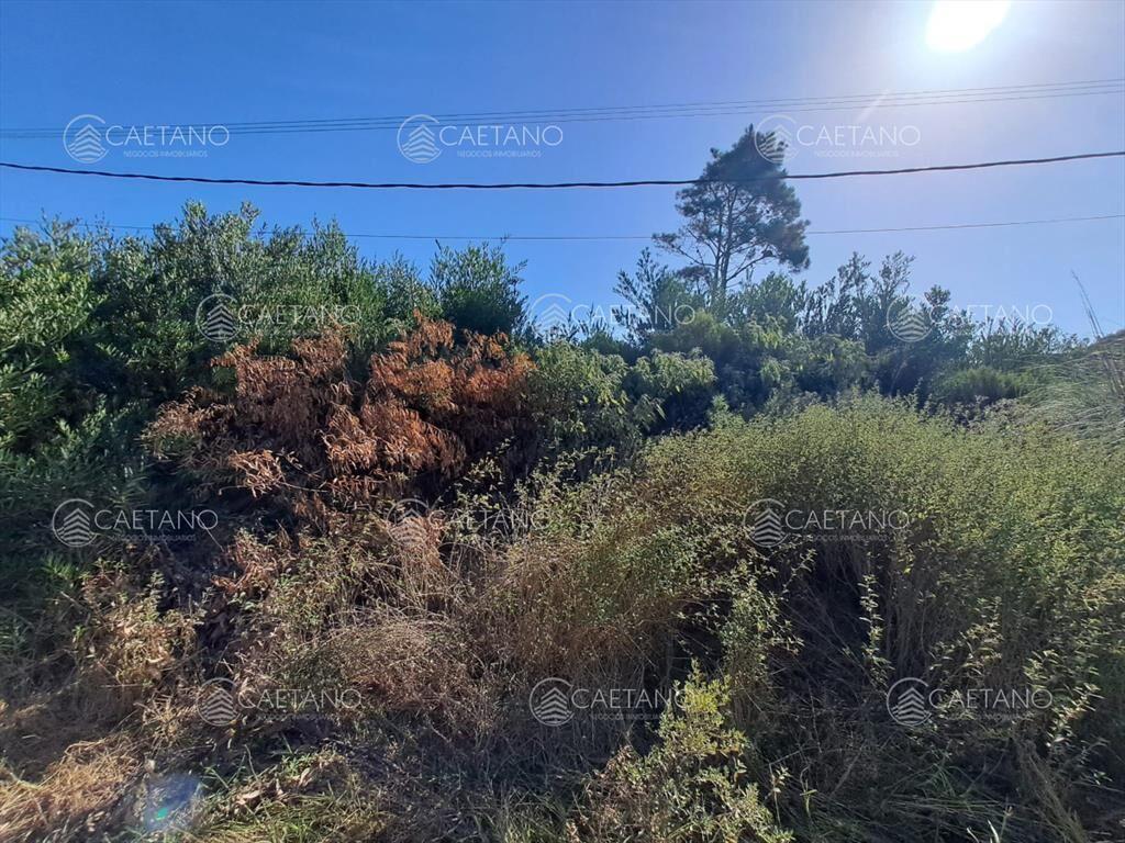 Venta de lote. Oportunidad con vista al Mar !