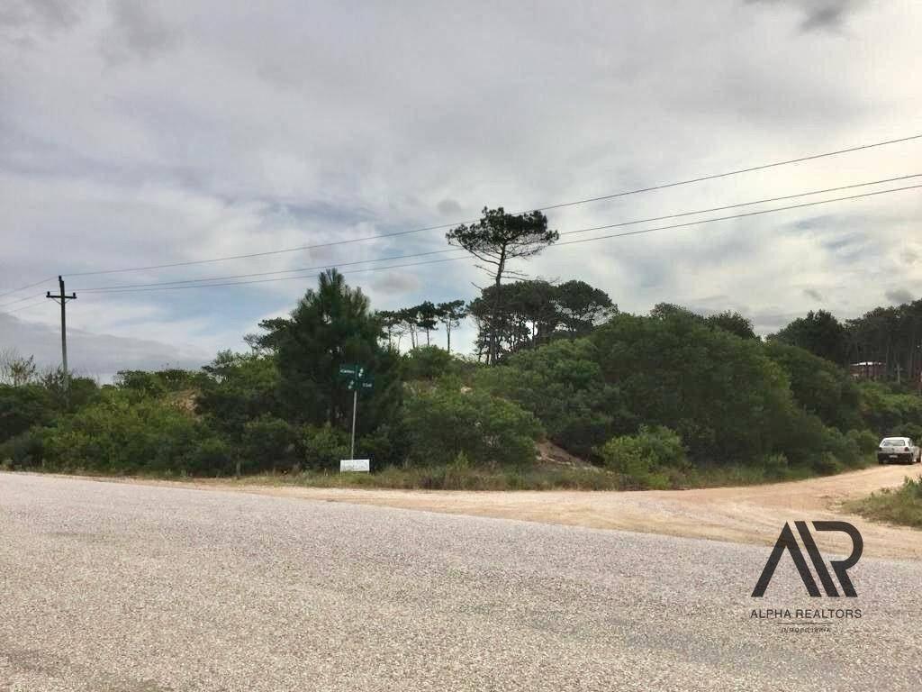 Venta Lote 1000m2 A Dos Cuadras De La Playa En Venta - C...