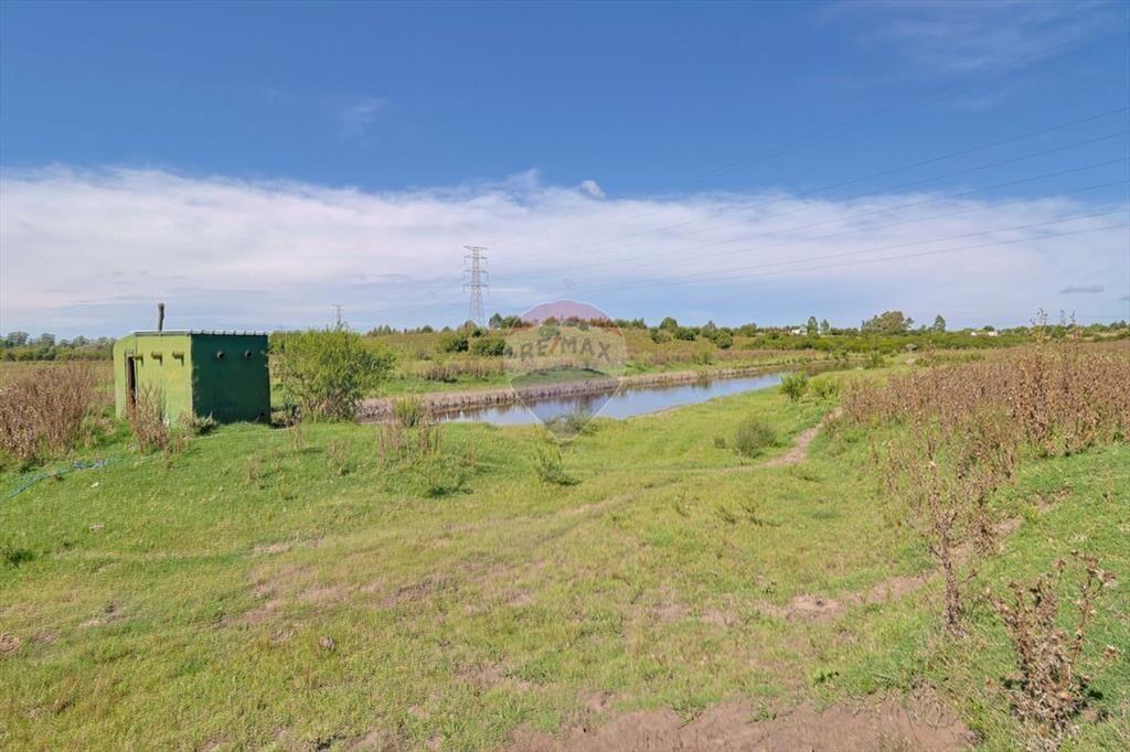 VENTA DE HECTAREAS, CAMPO EN LAS BRUJAS, CANELONES