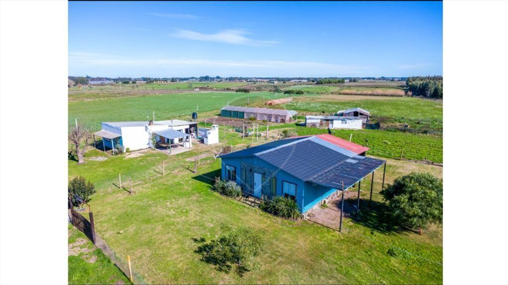 ALQUILER 2 CASAS Y CAMPO 3.7 HÁS TOTORAL DEL SAUCE
