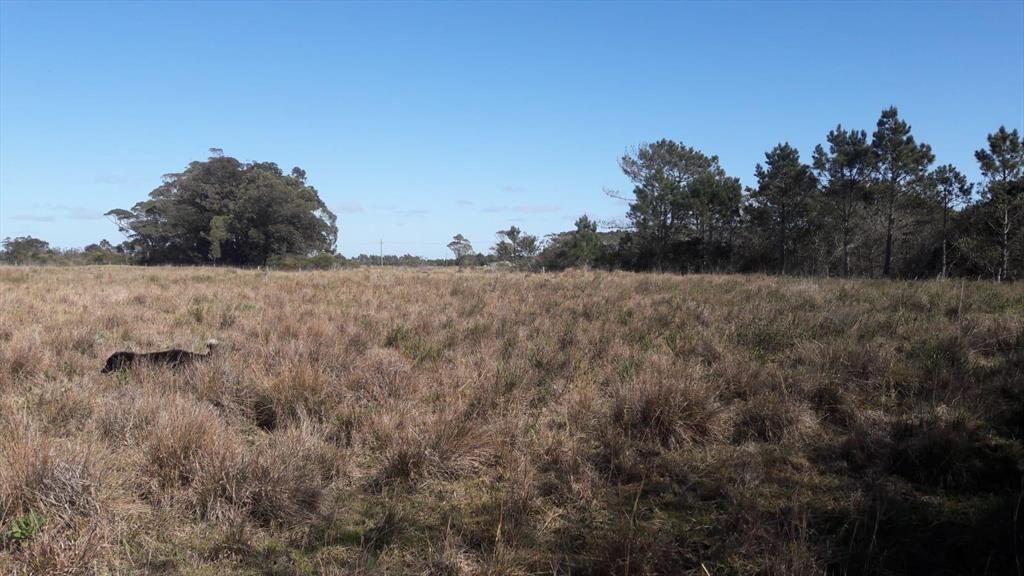 Venta Terreno10 ha sobre Ruta 10 en Oceanía del Polonio, Ro