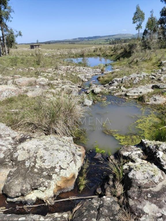 Campo 5 has en Partido Norte a 38 km de Punta del