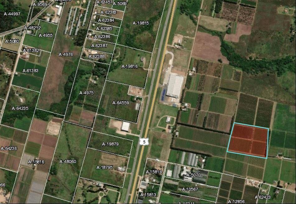 Terreno 4 hectáreas Ruta 5 km 22