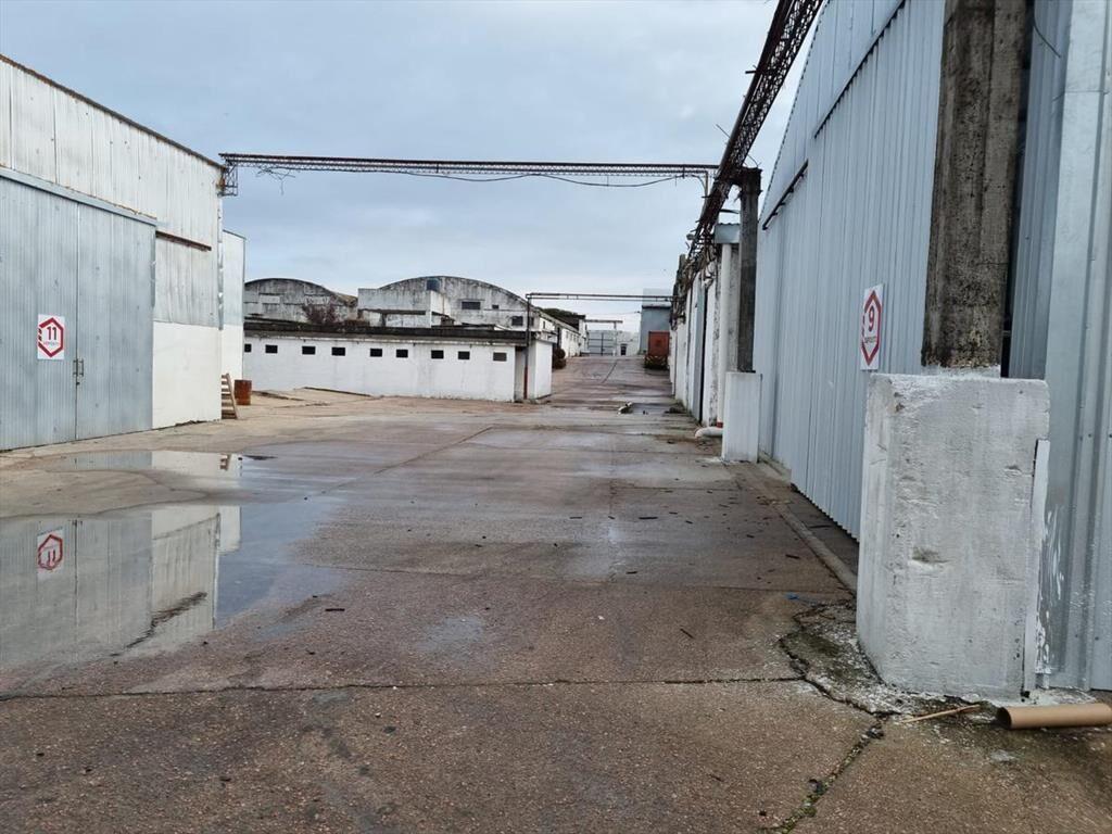 Depósito -Centro Logístico, ruta 67 próximo ruta 5,Las Pied