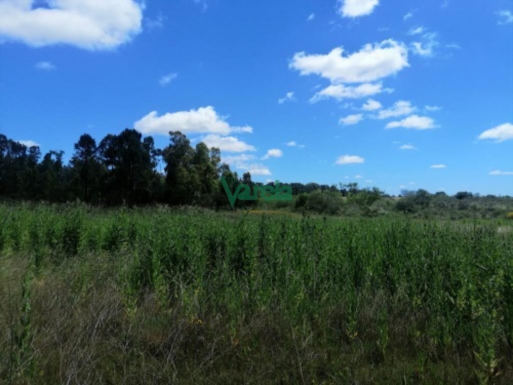 Venta Chacra, Pando, Villa Jardines, de 3.1250