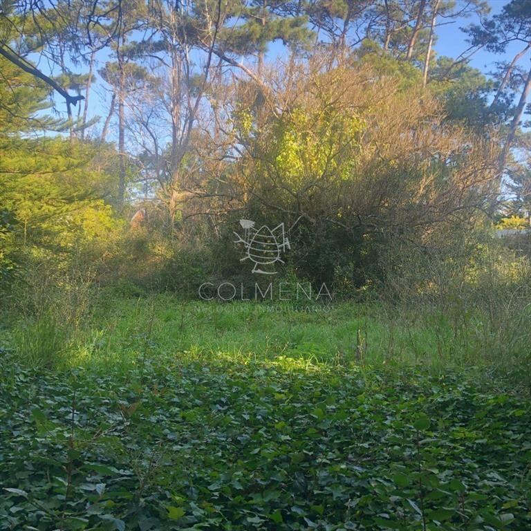 venta de terreno en San Rafael, Punta del Este
