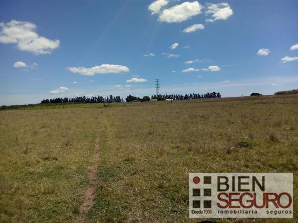 Chacra de 3 hás 6006 m², con 2 casas, en venta en Cerrillos