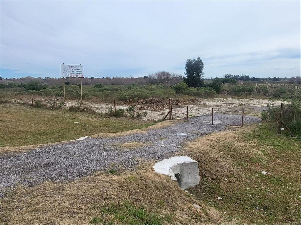 ALQUILER DE TERRENO EL PINAR, SOBRE ÍNTERBALNEARIA, KM 28