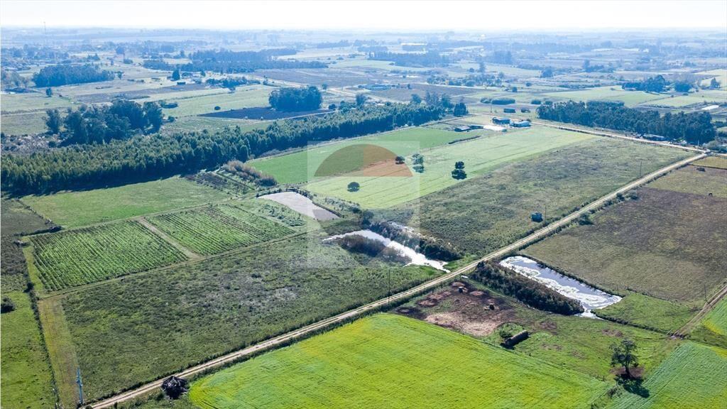 VENTA DE CAMPO 4 HECTAREAS CON TAJAMAR RUTA 75