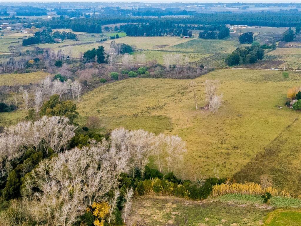 Venta de campo 3Ha. en Rincon de Pando, Canelones