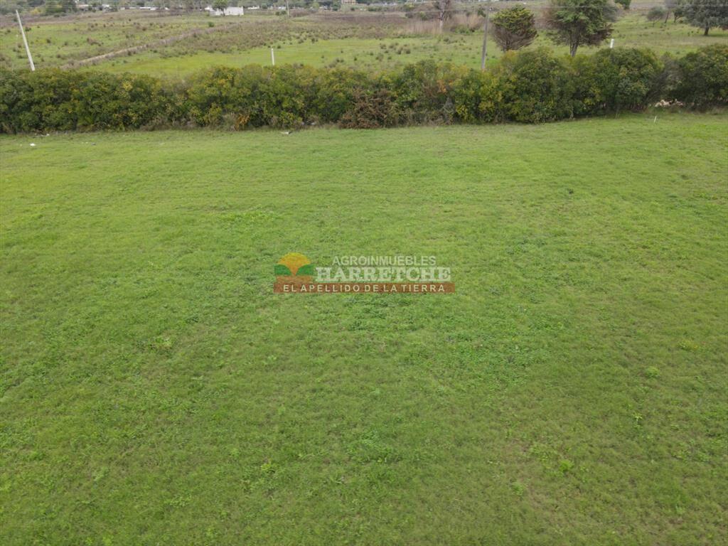 Terreno en Progreso, 360 m2 en Jardín de los (5)