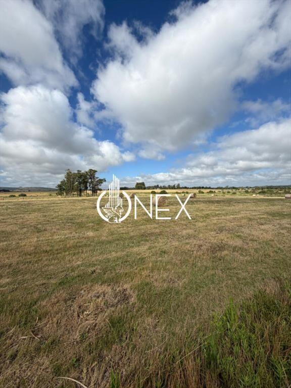 Venta de campo en Aiguá, Maldonado.