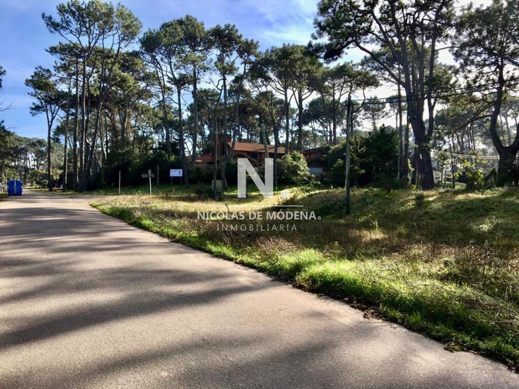 Gran terreno en venta ubicado en San Rafael, es