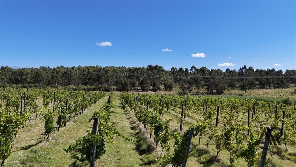 Campo en venta de 69ha ubicado en Atlántida