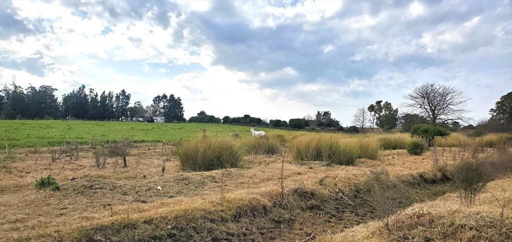 VENTA CHACRA RUTA 36 , KM 42.900 2 TAJAMARES