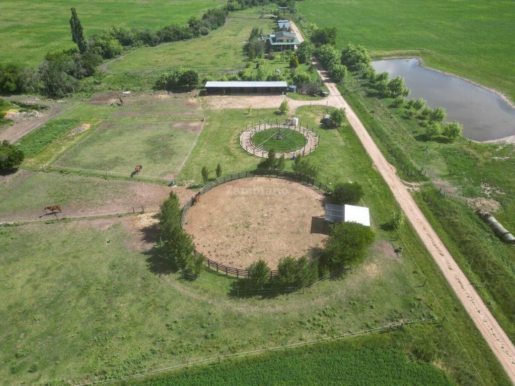 Haras I Canelones I Ha: 33. IC:233.