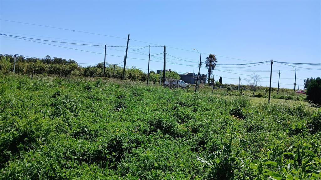 Venta de Terreno y Galpón de 1400m²