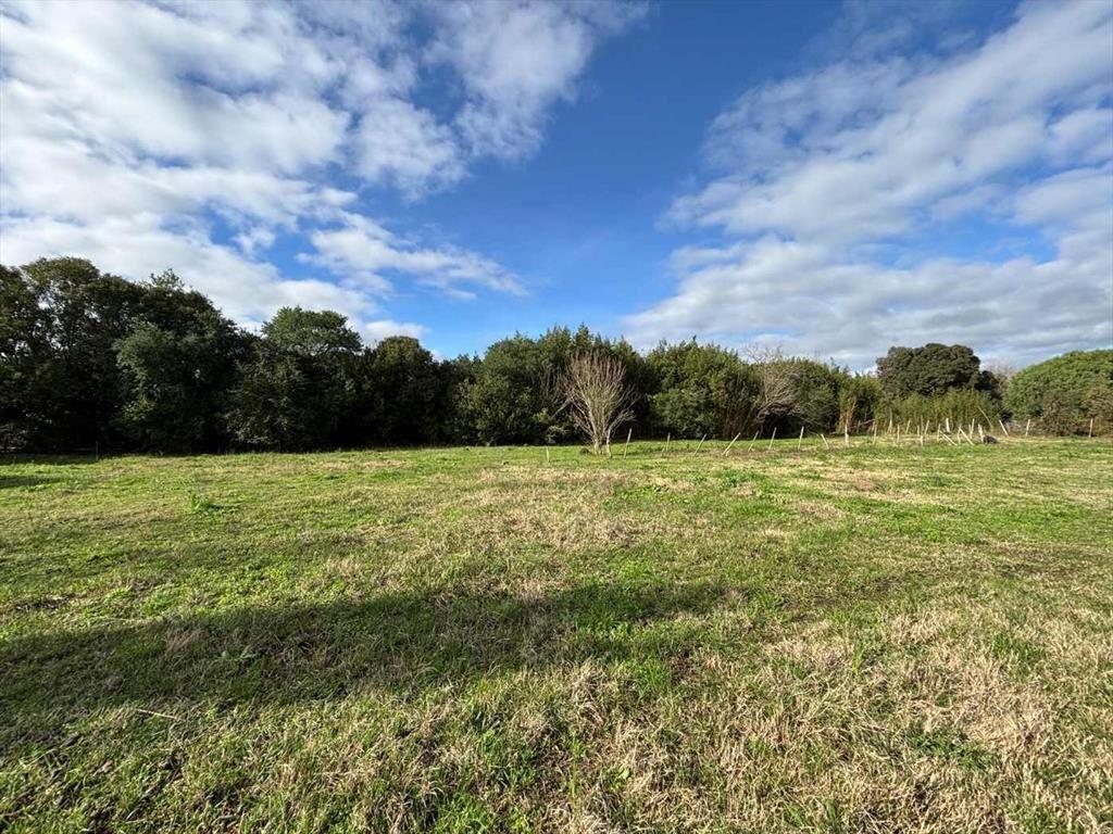 VENTA DE TERRENO EN GONZALEZ SAN JOSE