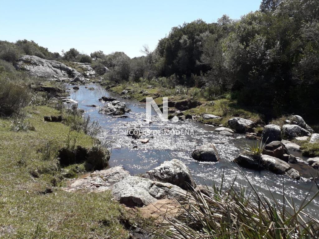 Campo en Aigua , Maldonado, 62 Hectáreas