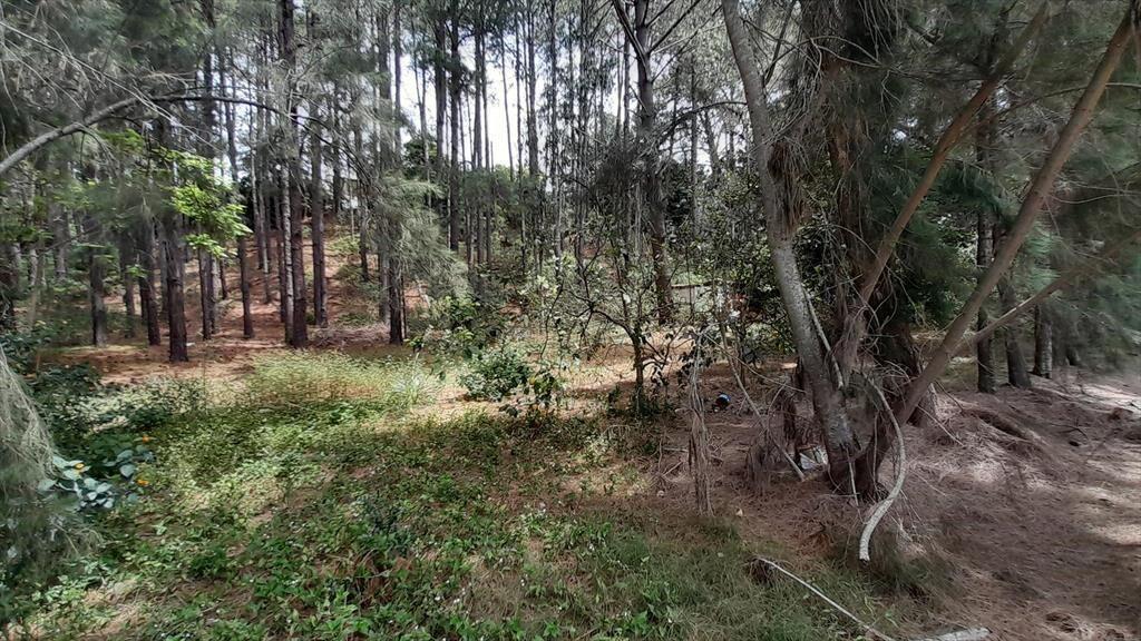 Terreno en Club del Lago