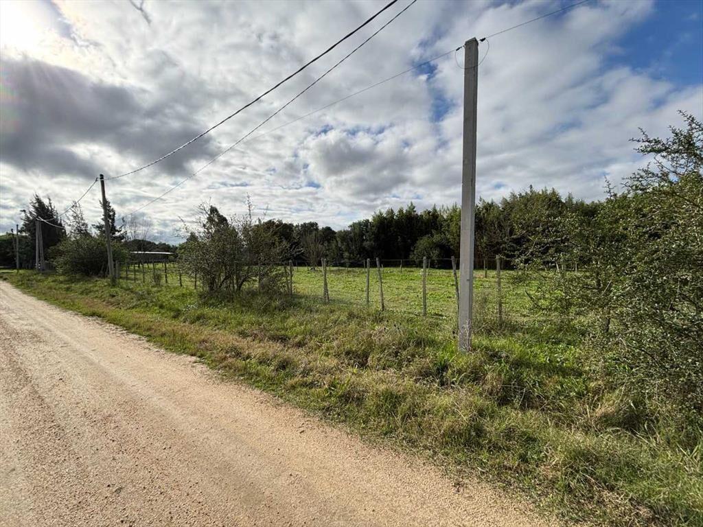 VENTA DE TERRENO EN GONZALEZ SAN JOSE