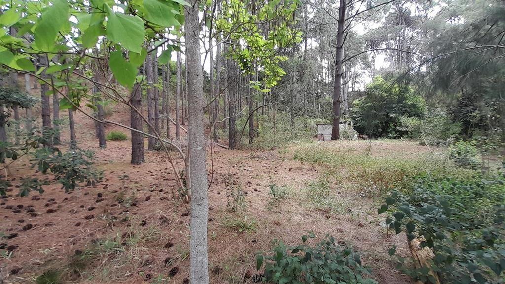 Terreno en Club del Lago