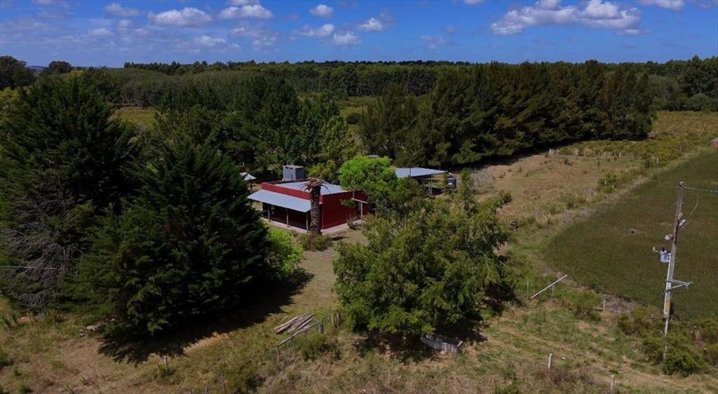 Venta CAMPO 29ha 2 CASAS en Est. Pedrera Ruta 88