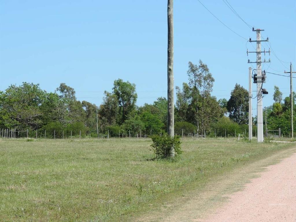 TERRENOS EN UN ENTORNO DE NATURALEZA