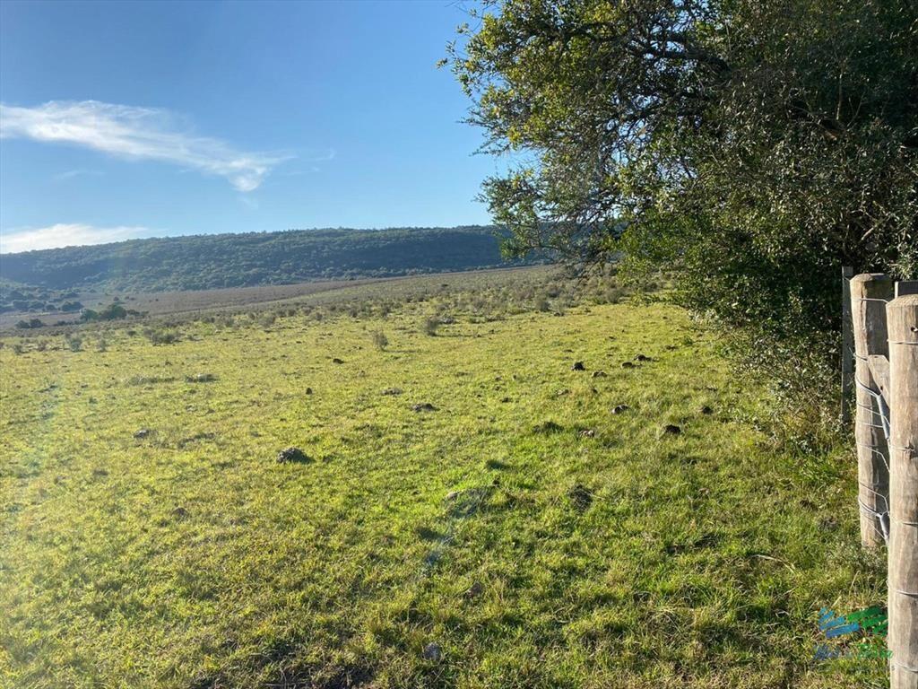 Buen campo mixto a 1 hora de Punta, buen acceso e