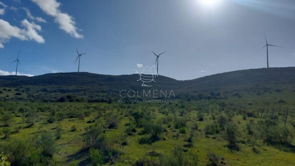Campo en los Caracoles de 5 has y 6 has
