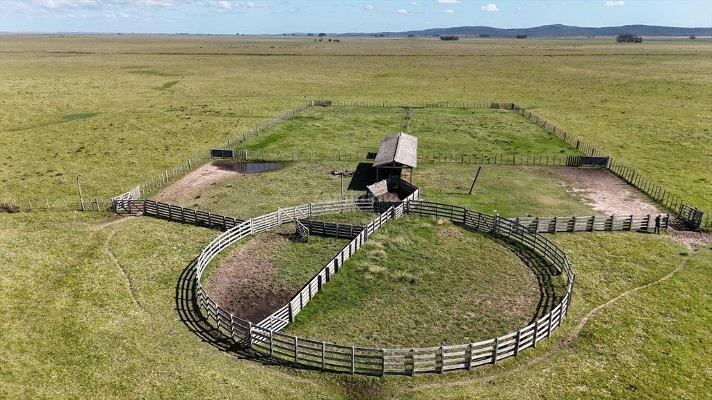 Estancia Arrocera I Rocha I Ha: 1650 IC:56.