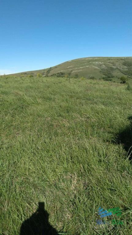 Linda fracción de campo ganadero con aptitud
