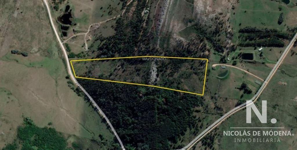 Chacra en venta Punta Ballena