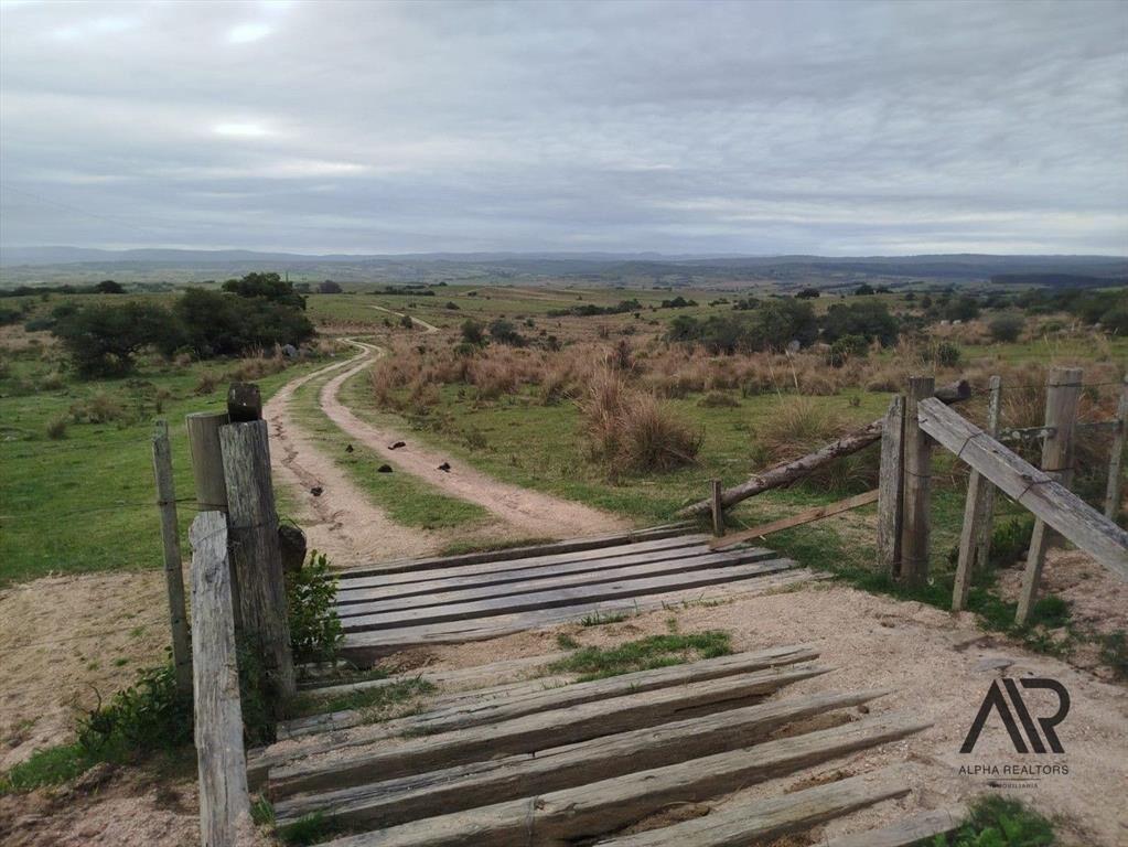Gran Oportunidad 116 Ha En Garzón/maldondado, A 8 Km Del...