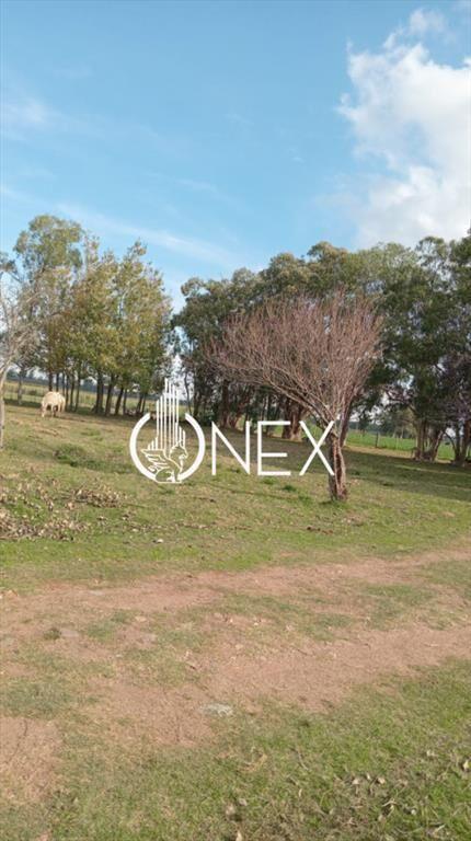 Oportunidad chacra en Venta En San Jacinto