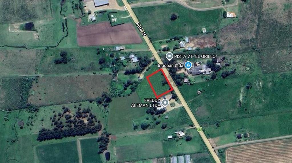 Alquiler terreno de 5.000m² sobre Ruta 75 Pando