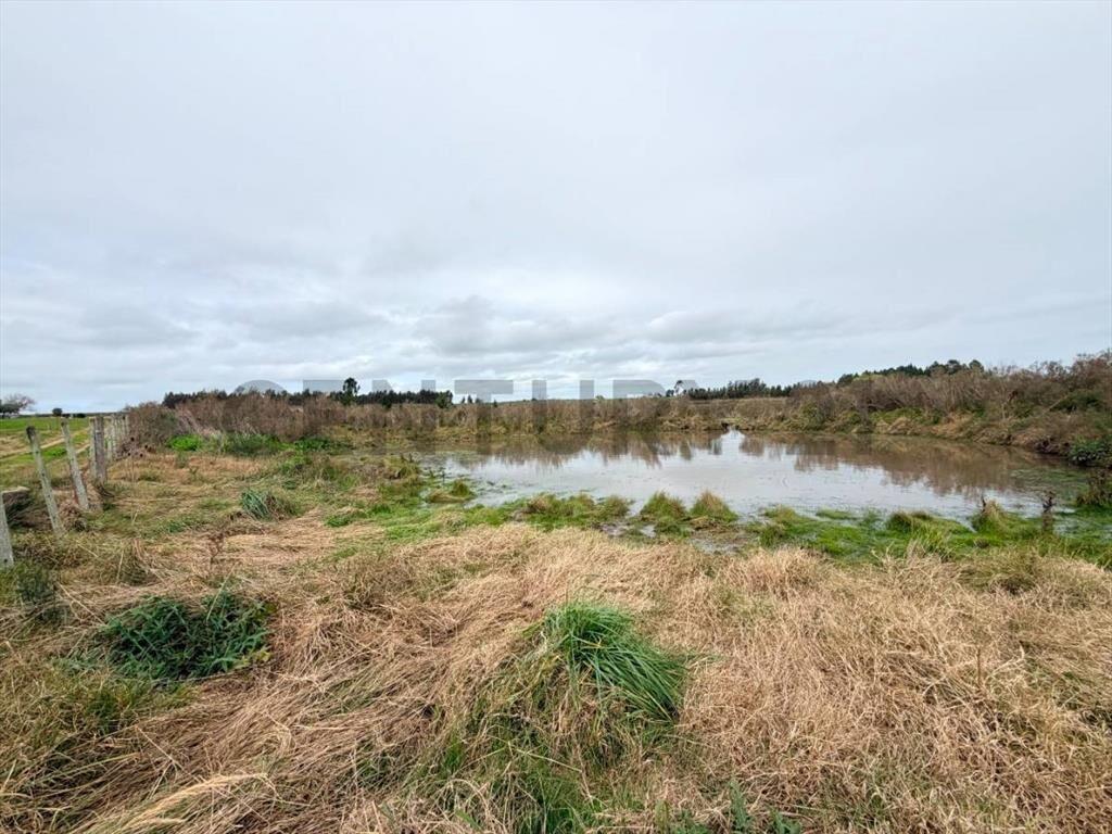 Campo Alambrado en San Jacinto, C/ Gran Tajamar, Zona alt...